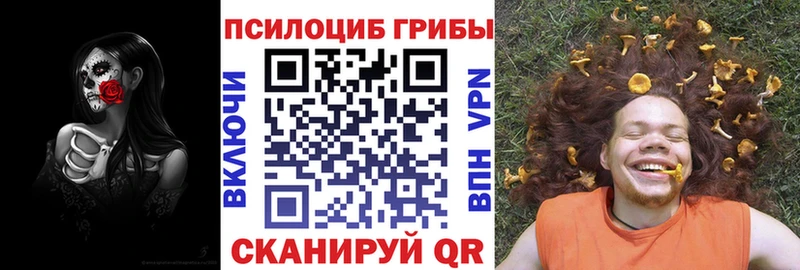 Псилоцибиновые грибы ЛСД  Богучар 